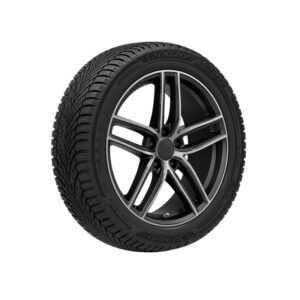 195/55R15 85H Sentury Winterdragon (2026)